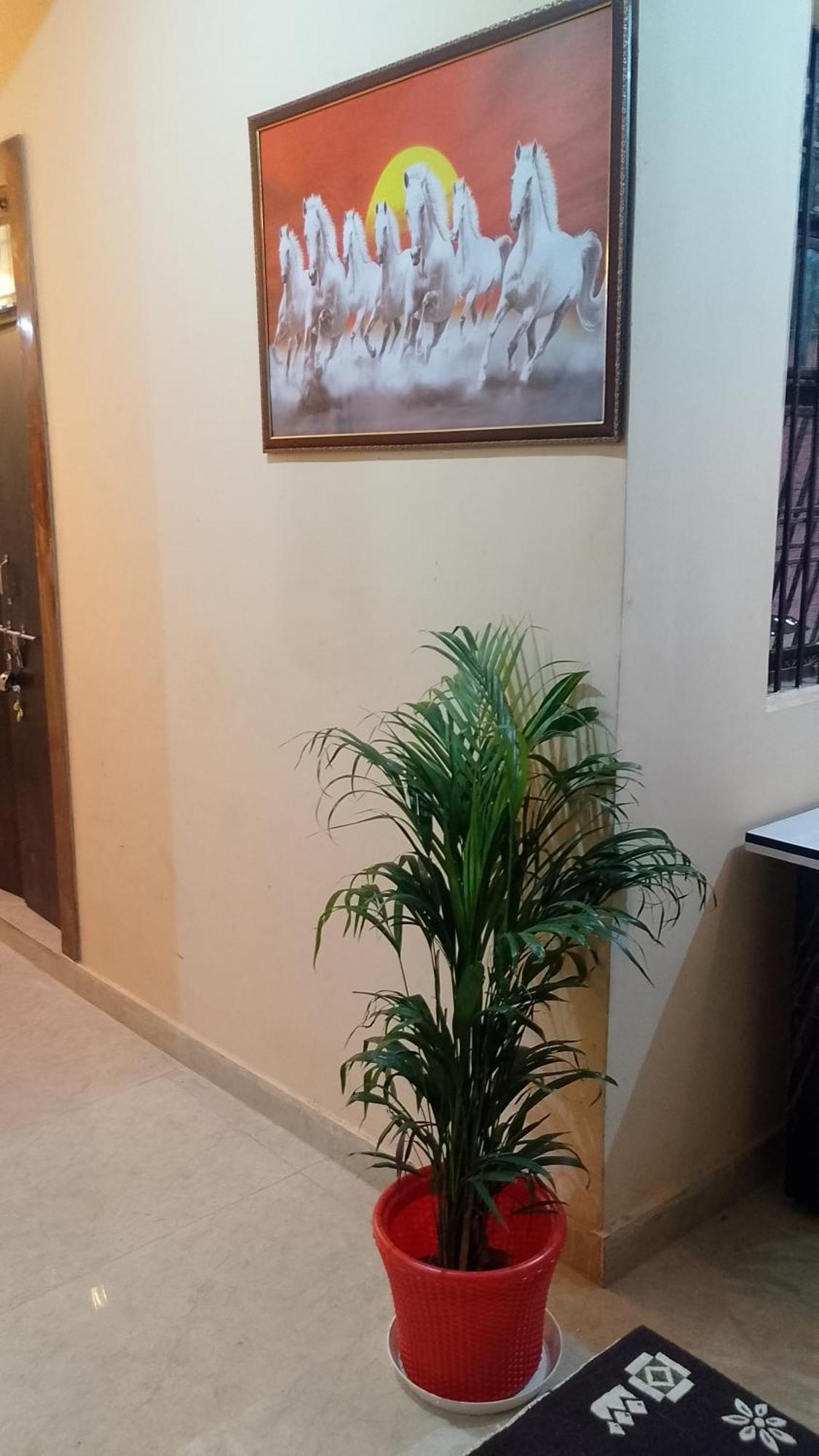 אגרה The Blessings Home Stay מראה חיצוני תמונה